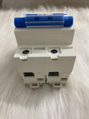 MCB 2 Pha LS302 (80-100-125A) Xanh Dương (CB Tép LSE)