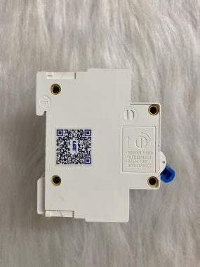 MCB 2 Pha LS302 (80-100-125A) Xanh Dương (CB Tép LSE)