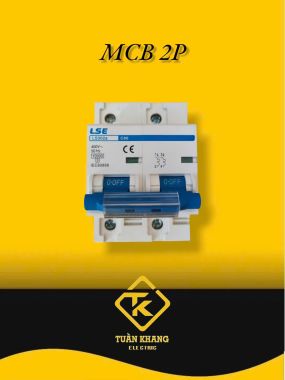 MCB 2P LS302 (80-100-125A) Xanh Dương (CB Tép LSE)