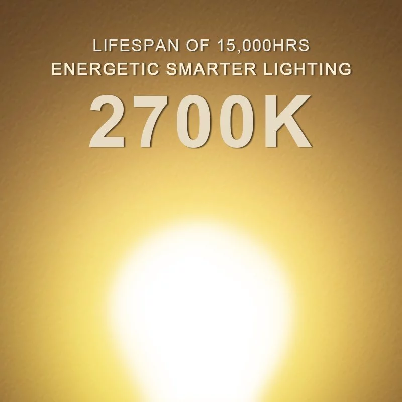 Bóng LED Filament Megaman 4W C35/G45 ánh sáng vàng chính hãng