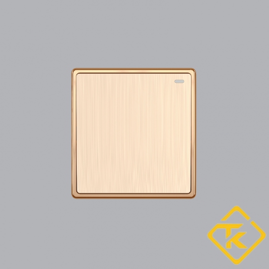 MẶT 1 CÔNG TẮC 1 CHIỀU 16A-250V S701