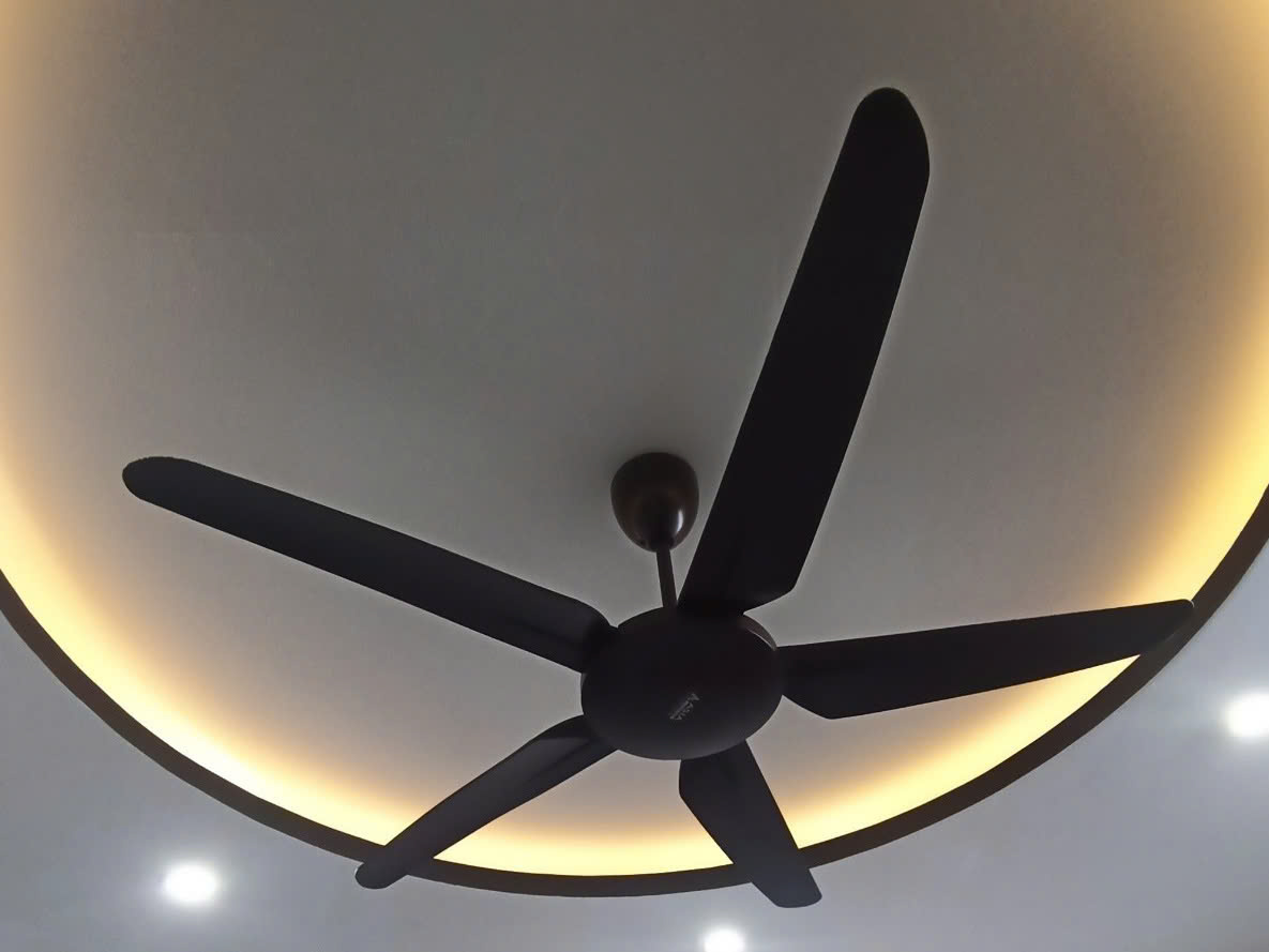 Quạt Trần Asia Lighting Cao Cấp QT05 Gỗ Tự Nhiên