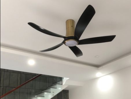 Quạt trần đèn 5 cánh vát cong ASIA LIGHTING hiện đại QT14